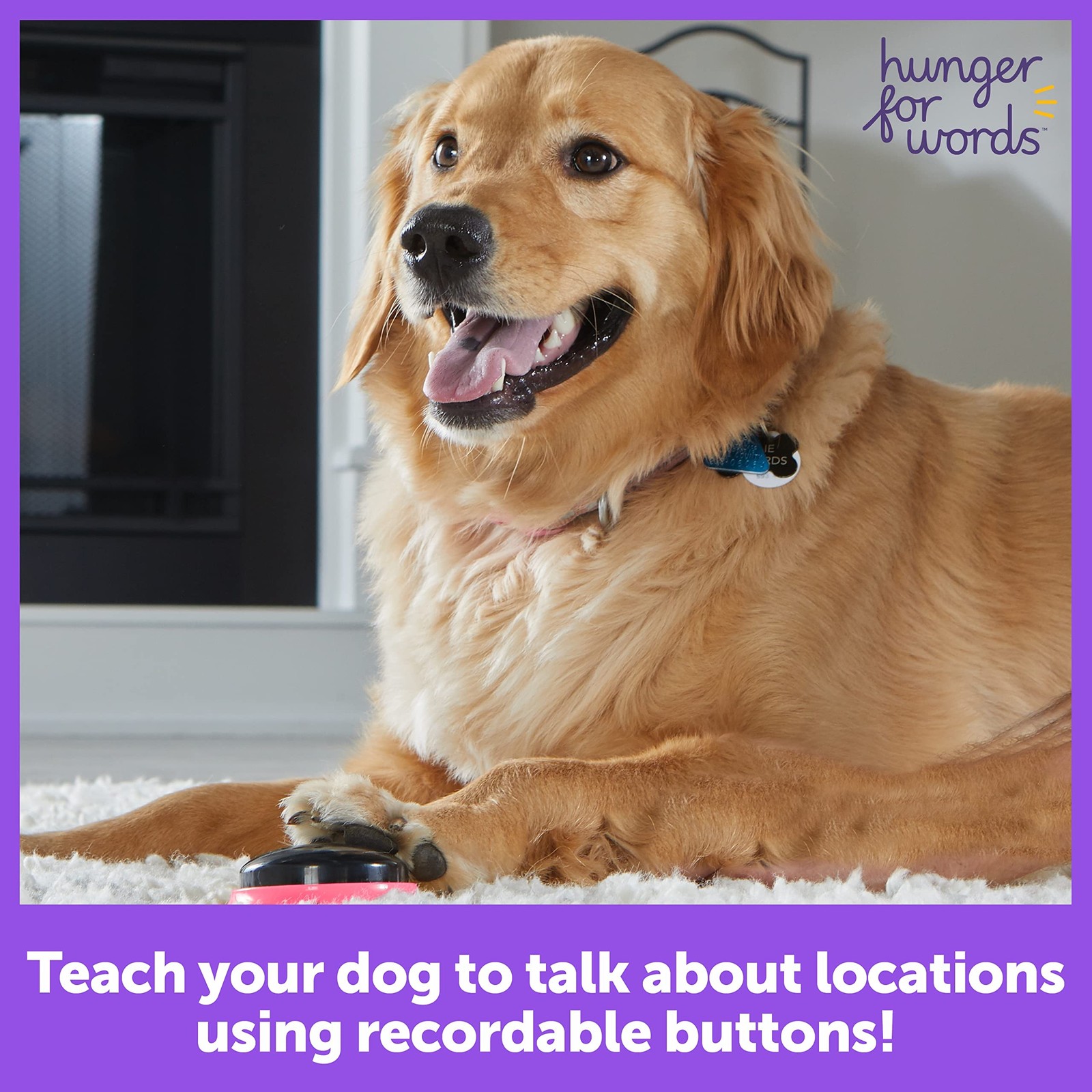 Hunger For Words Talking Pet Next Words Locations – 3 Piece Set of Recordable…