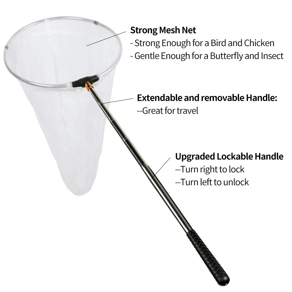 RESTCLOUD Insect and Butterfly Net with 12″ Ring, 59″ Handle, Multicolor