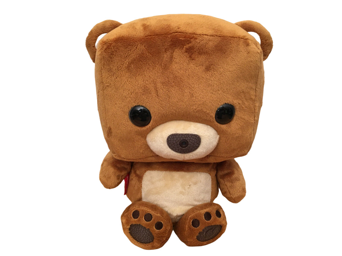 Fisher Price Brown Plush Talking Smart Toy Bear Size Medium