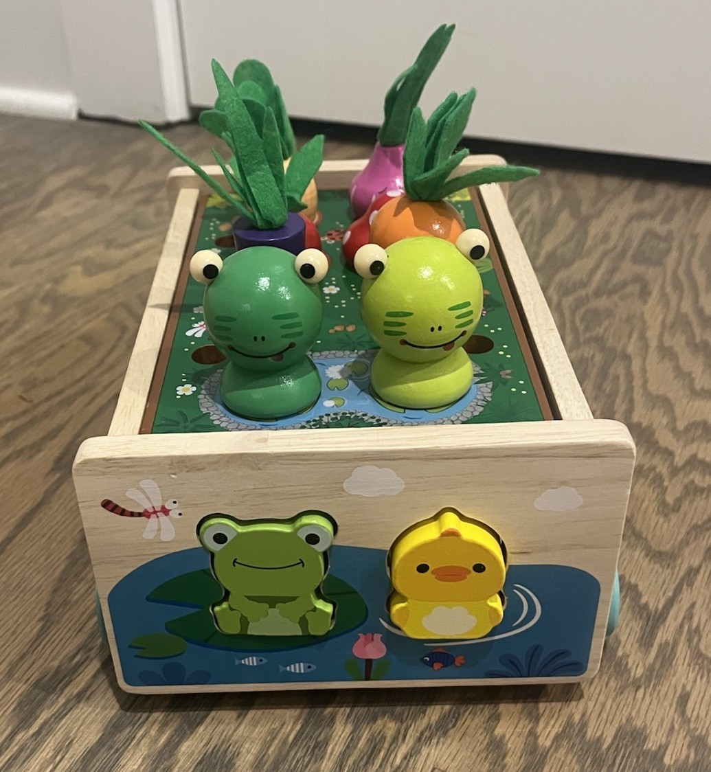 Toddler Montessori Wooden Farm Animal Shape Sorter Hand Eye Coordination
