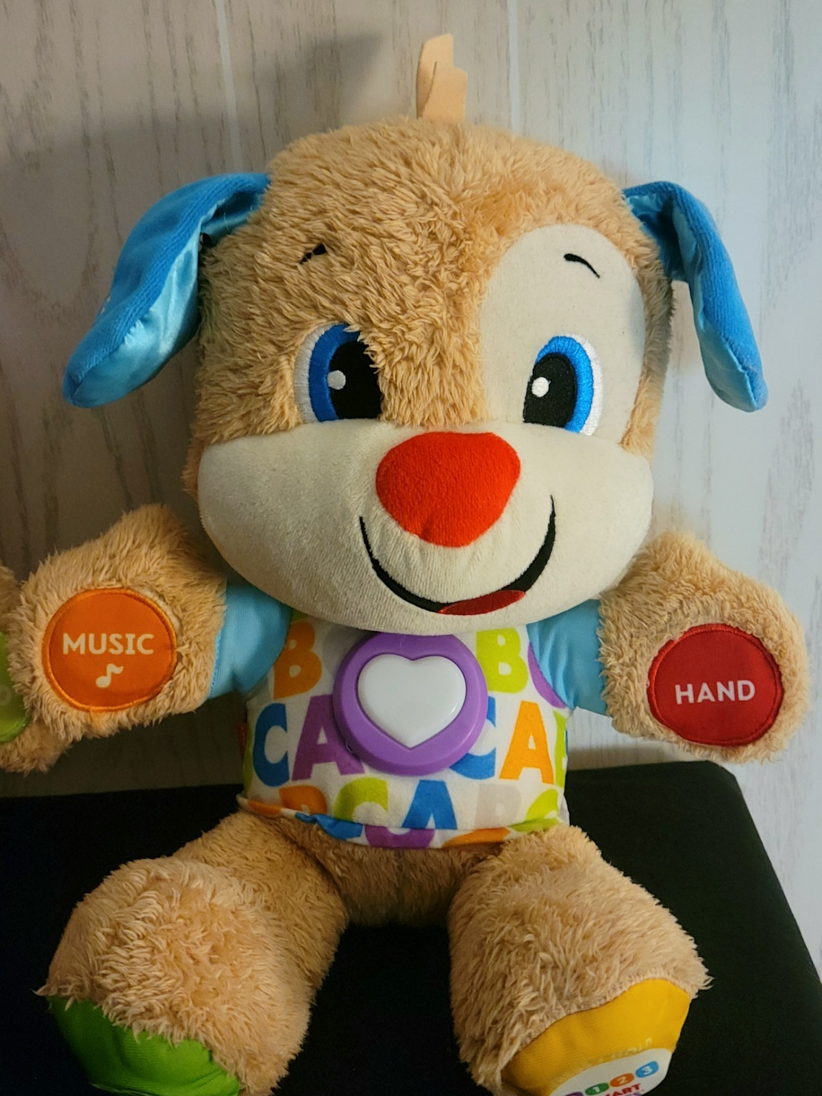 Fisher Price Laugh & Learn Smart Stages Sis &Bro Puppy Dogs Toddler Plush VIDEO!