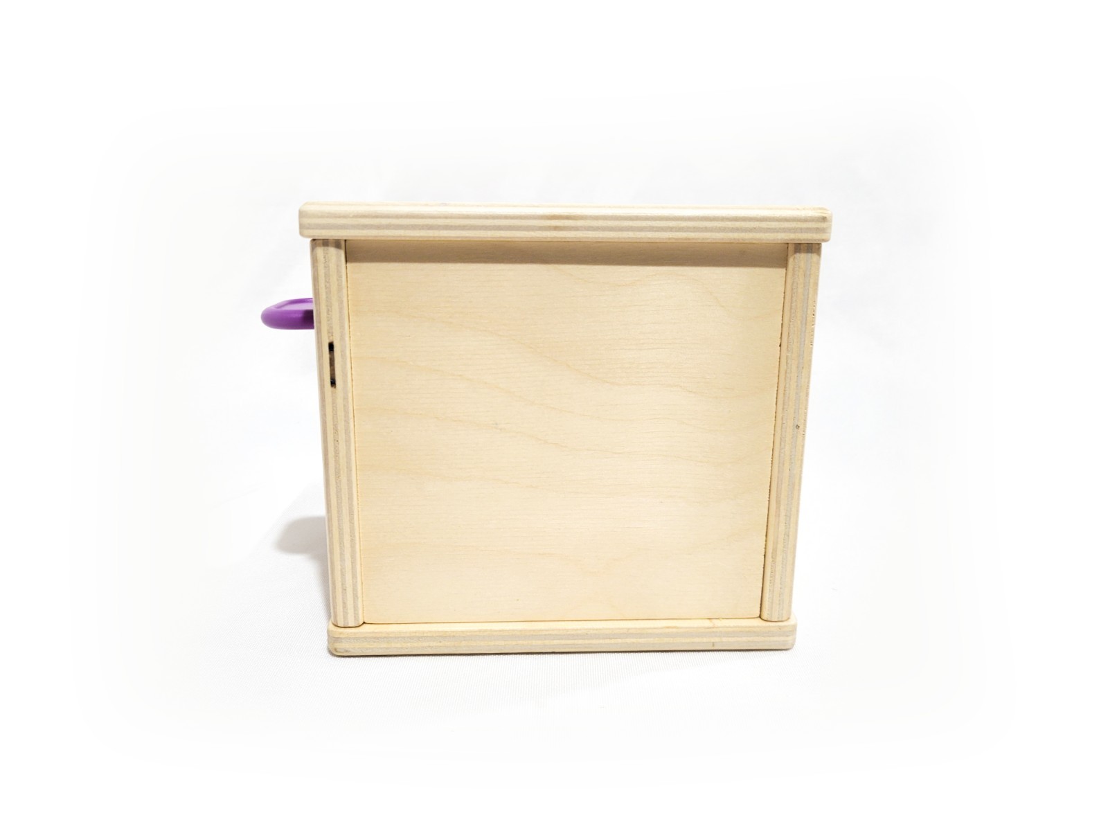 Lovevery Wooden Peg Drop from The Thinker Play Kit Months 11-12 Baby Montessori