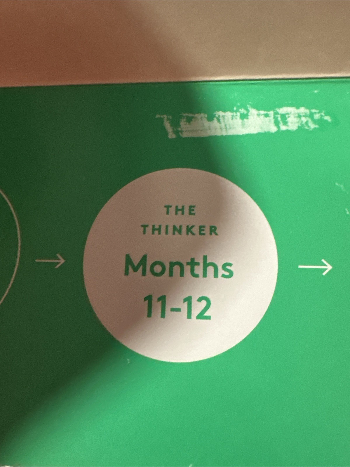 LOVEVERY Toys The Thinker Play Kit Months 11-12 Montessori Wood Incomplete SH7