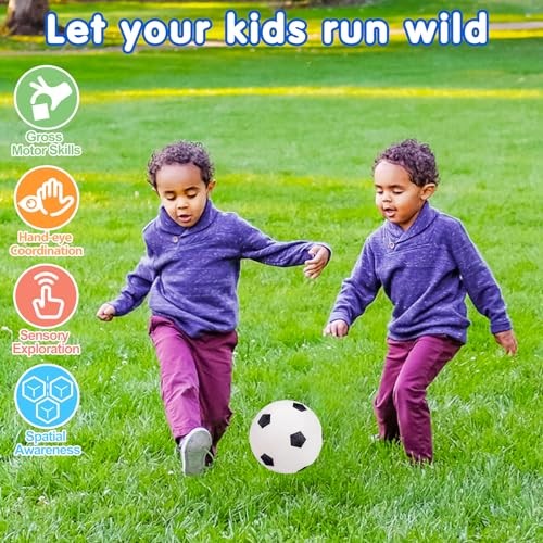 5 Pack Sports Balls for Toddlers 1-3 Outdoor Toys – Football Soccer Basketball