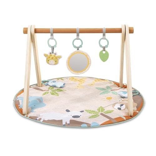 INGENUITY WONDERS INGENUITY WONDER & WOOD TOY ARCH & MAT – MULTI COLOR/BEIGE