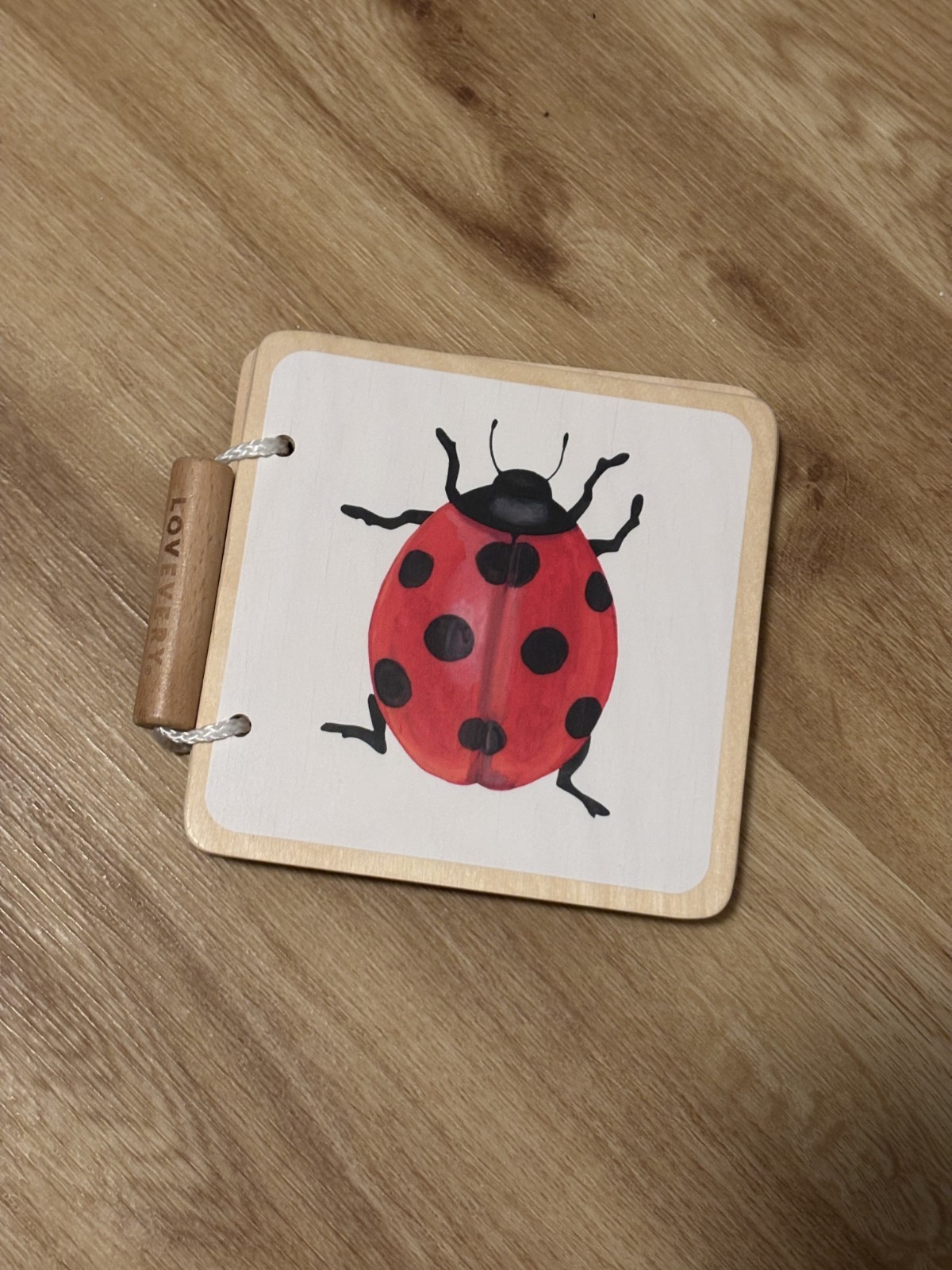 Lightly Used Lovevery Wooden Insect & Animal Board Book for Infants & Toddlers