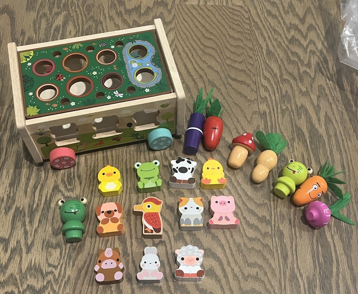Toddler Montessori Wooden Farm Animal Shape Sorter Hand Eye Coordination