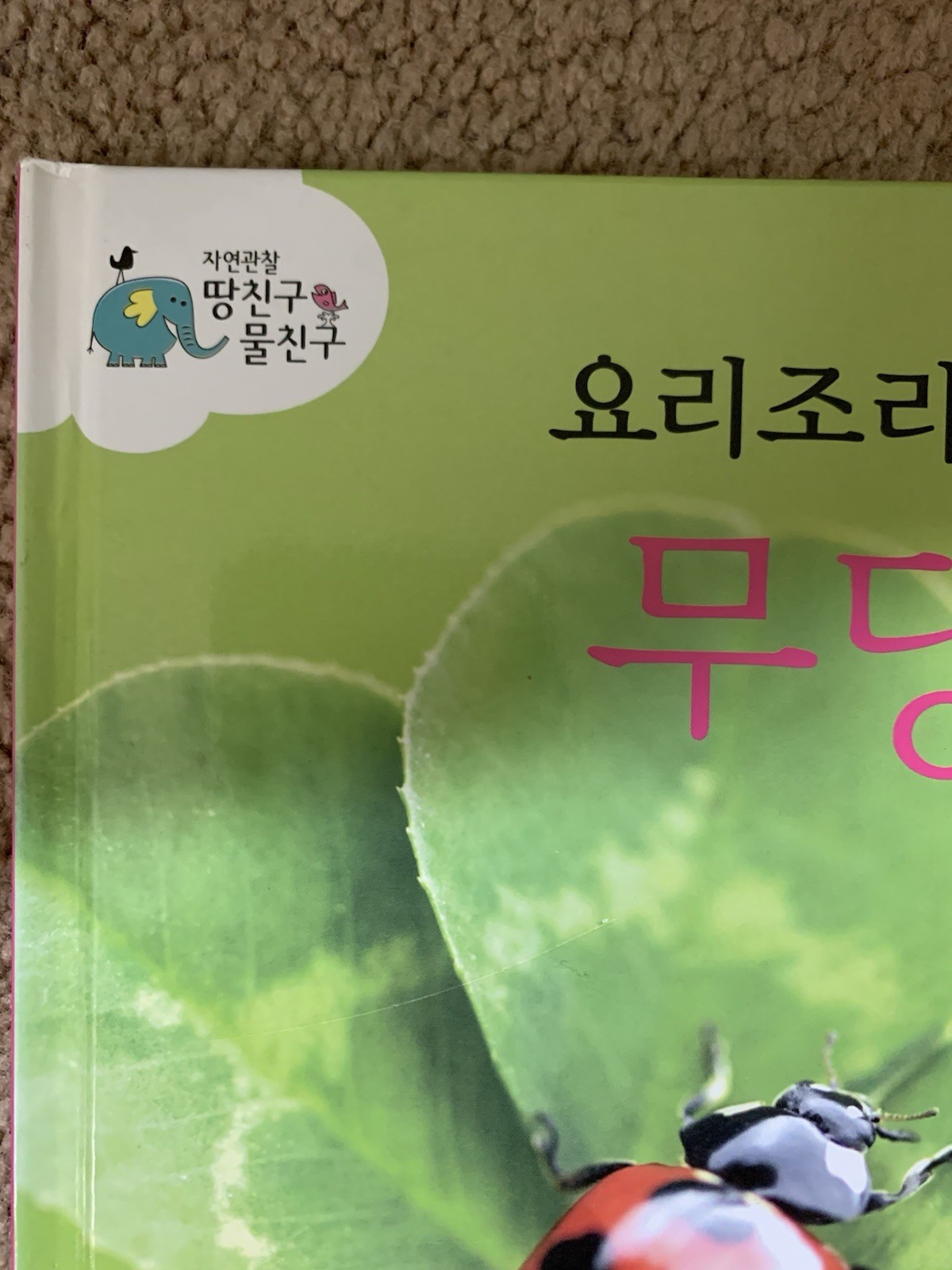 웅진다책 자연관찰 땅친구 물친구 Korean children books RANDOM 14 kid books 한국 책 한글 책 동화 어린이 14권