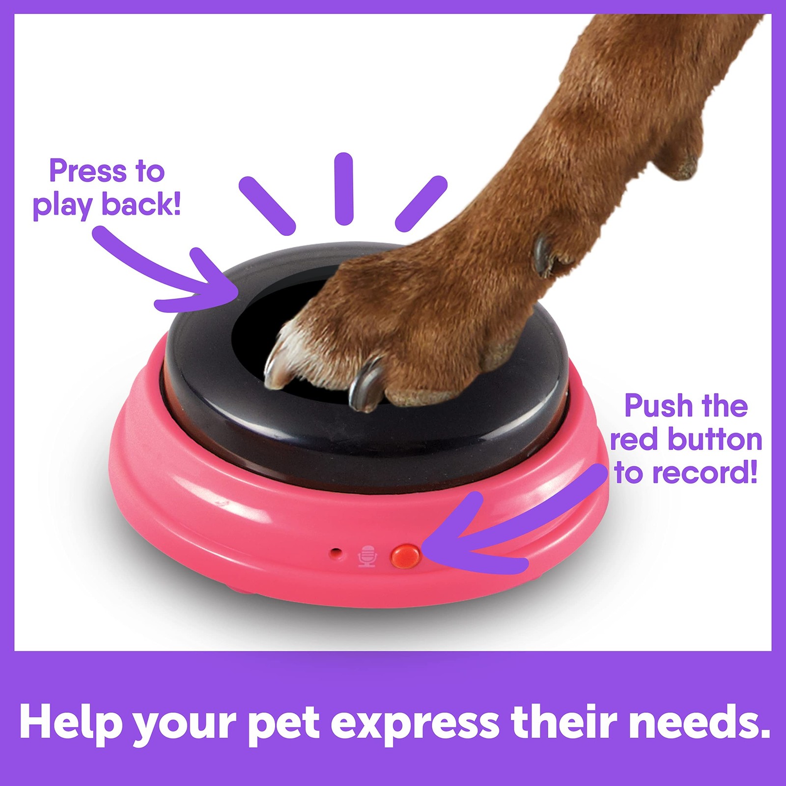 Hunger For Words Talking Pet Next Words Locations – 3 Piece Set of Recordable…