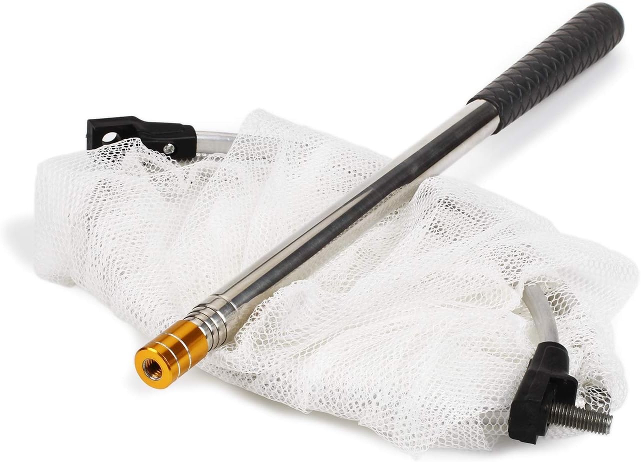 RESTCLOUD Insect and Butterfly Net with 12″ Ring, 59″ Handle, Multicolor