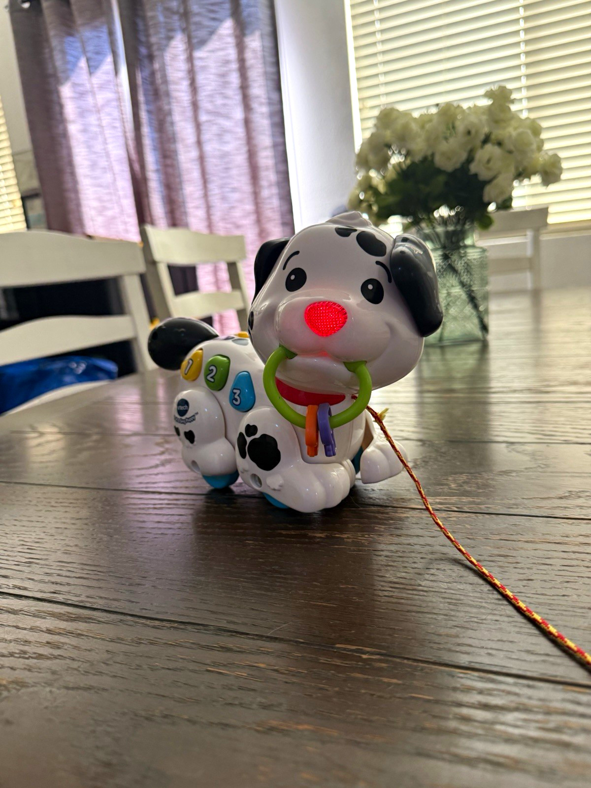VTech Pull & Sing Puppy Pull Toy, Light-Up Nose, Buttons, Pull String 9-36M