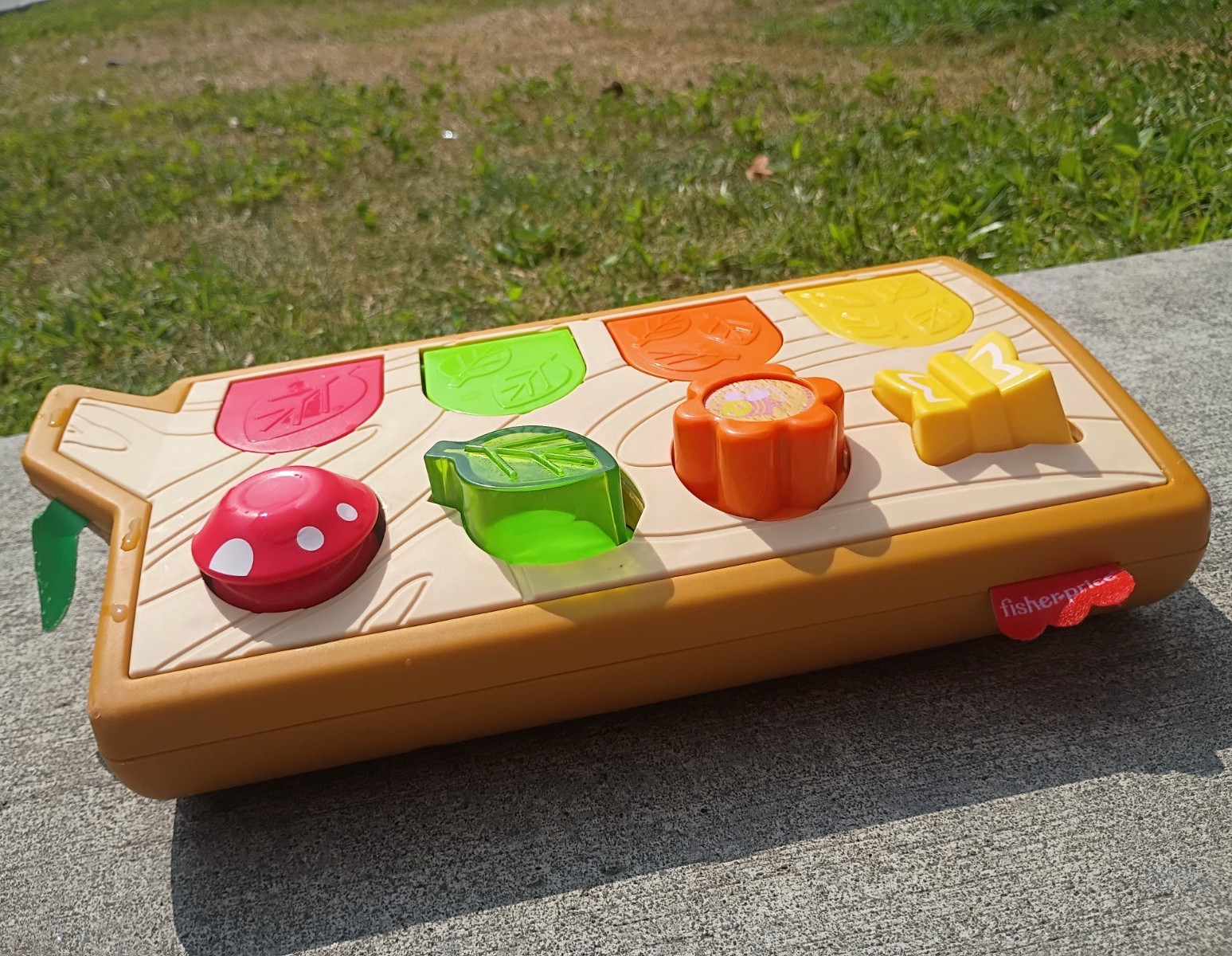 Fisher-Price Woodland Pop-Up Activity Toy, Multicolor, Hand-Eye Coordination