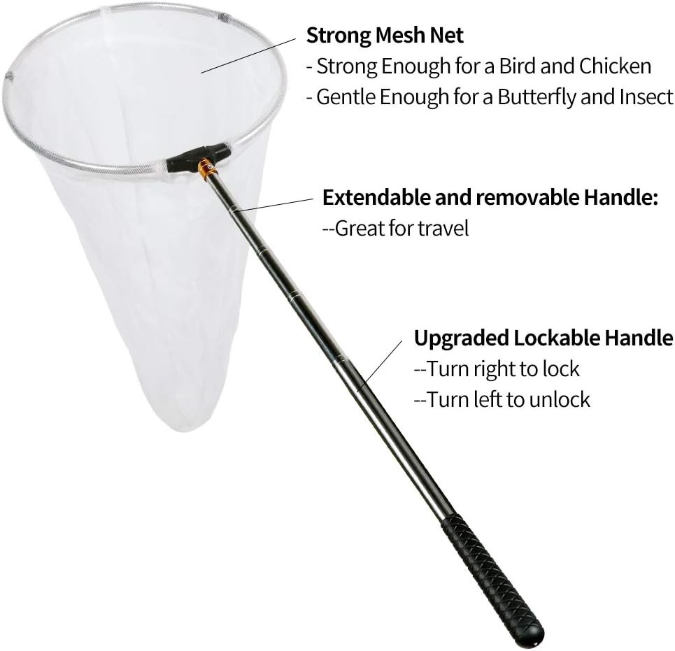RESTCLOUD Insect and Butterfly Net with 12″ Ring, 59″ Handle, Multicolor