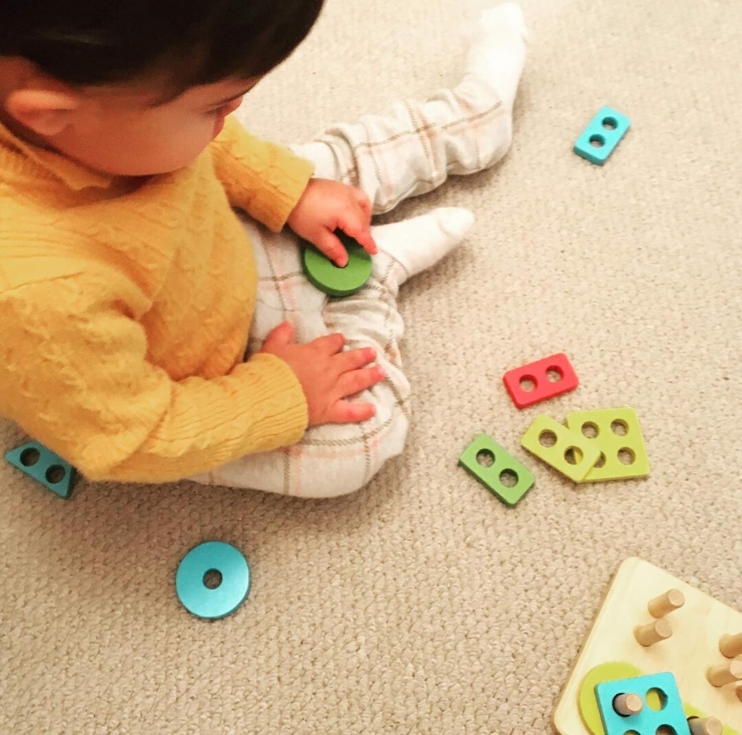 Montessori Toys for 1 2 3 4 Years Old Toddlers Wooden Sorting & Stacking Toys