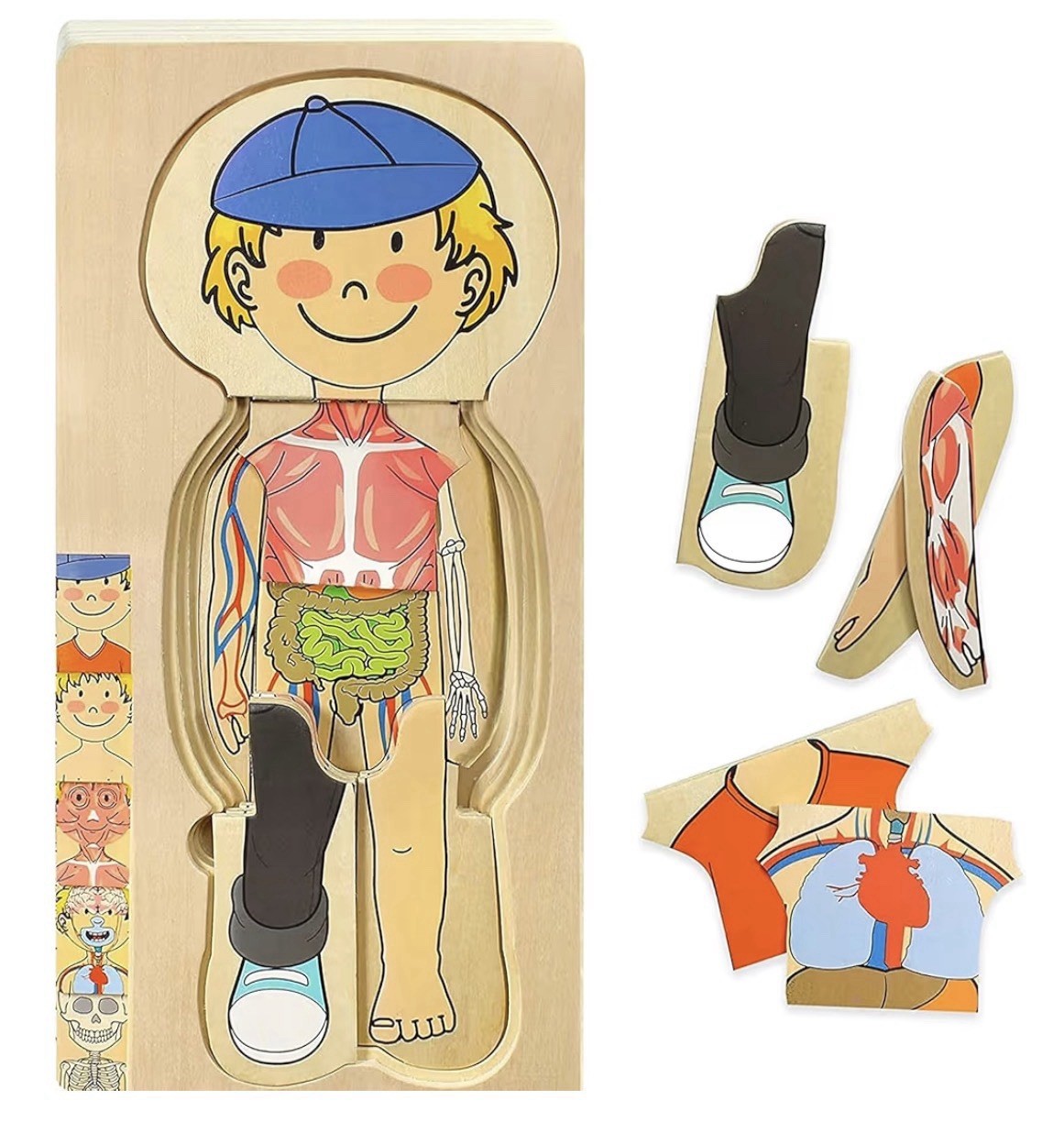Kidzlane Boy Wooden My Body Puzzle for Toddlers and Kids – 29 Piece Boys Anat