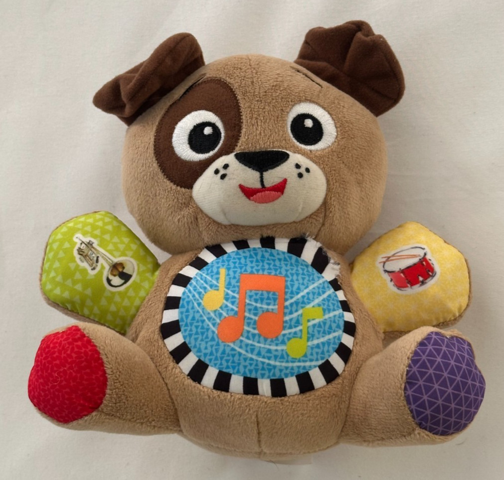 Baby Einstein Press & Play Pals 8 inch Plush Dog Puppy Musical Toy