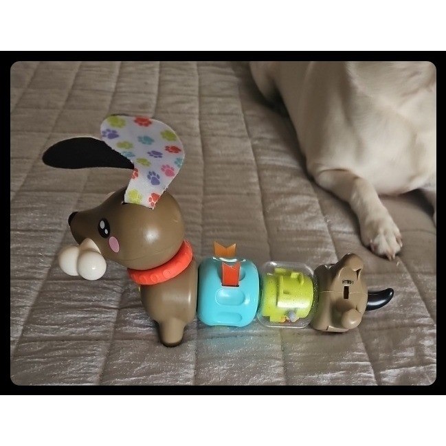 Fisher-Price Clicker Dachshund Baby Sensory Toy Brown Blue Green Puppy Dog