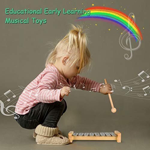 Toddler Musical Instruments, Eco Friendly Music Set for Kids Preschool…