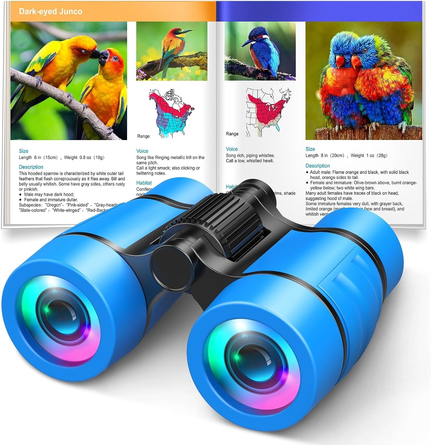 Educational Kids Binoculars Set with Bird Watching Manual – Fun for Ages 4-8