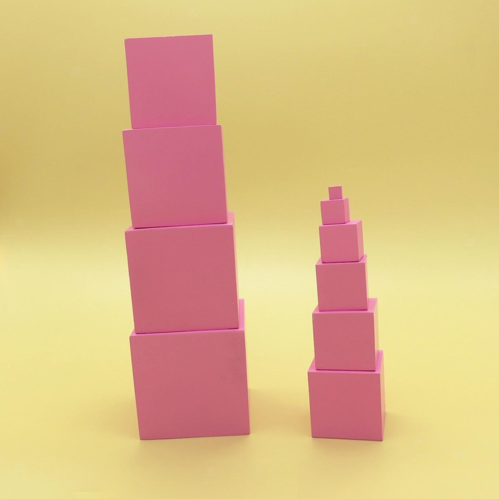 Pink Logical Thinking Basic Blocks Professional Educational