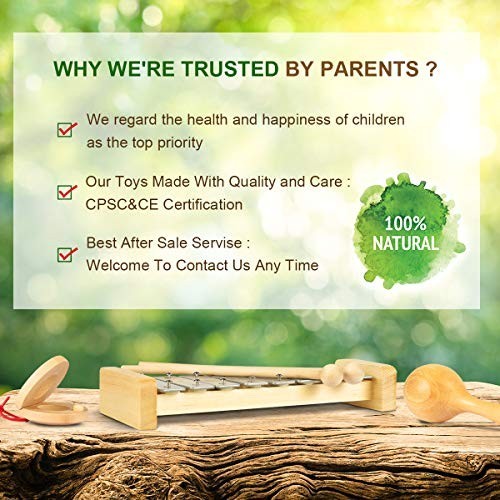 Toddler Musical Instruments, Eco Friendly Music Set for Kids Preschool…