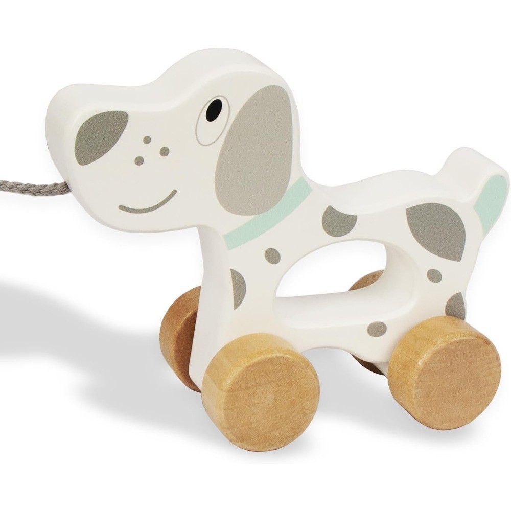 Wooden Pull Along Dog Toy Car Developmental Learning Toddler Gift for 1 Year Old