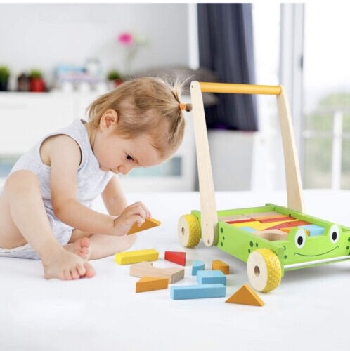 New — Jamohom Wooden Frog Baby Learning Walker Activity Center Toy with Blocks