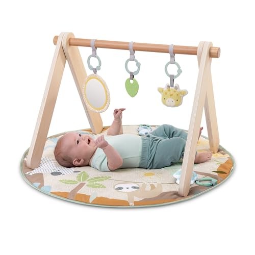 INGENUITY WONDERS INGENUITY WONDER & WOOD TOY ARCH & MAT – MULTI COLOR/BEIGE