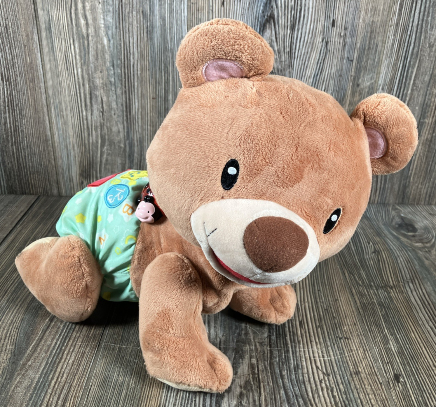 VTech Explore & Crawl Cub Bear Plush Learning Toy Moves Lights Up Talks VIDEO