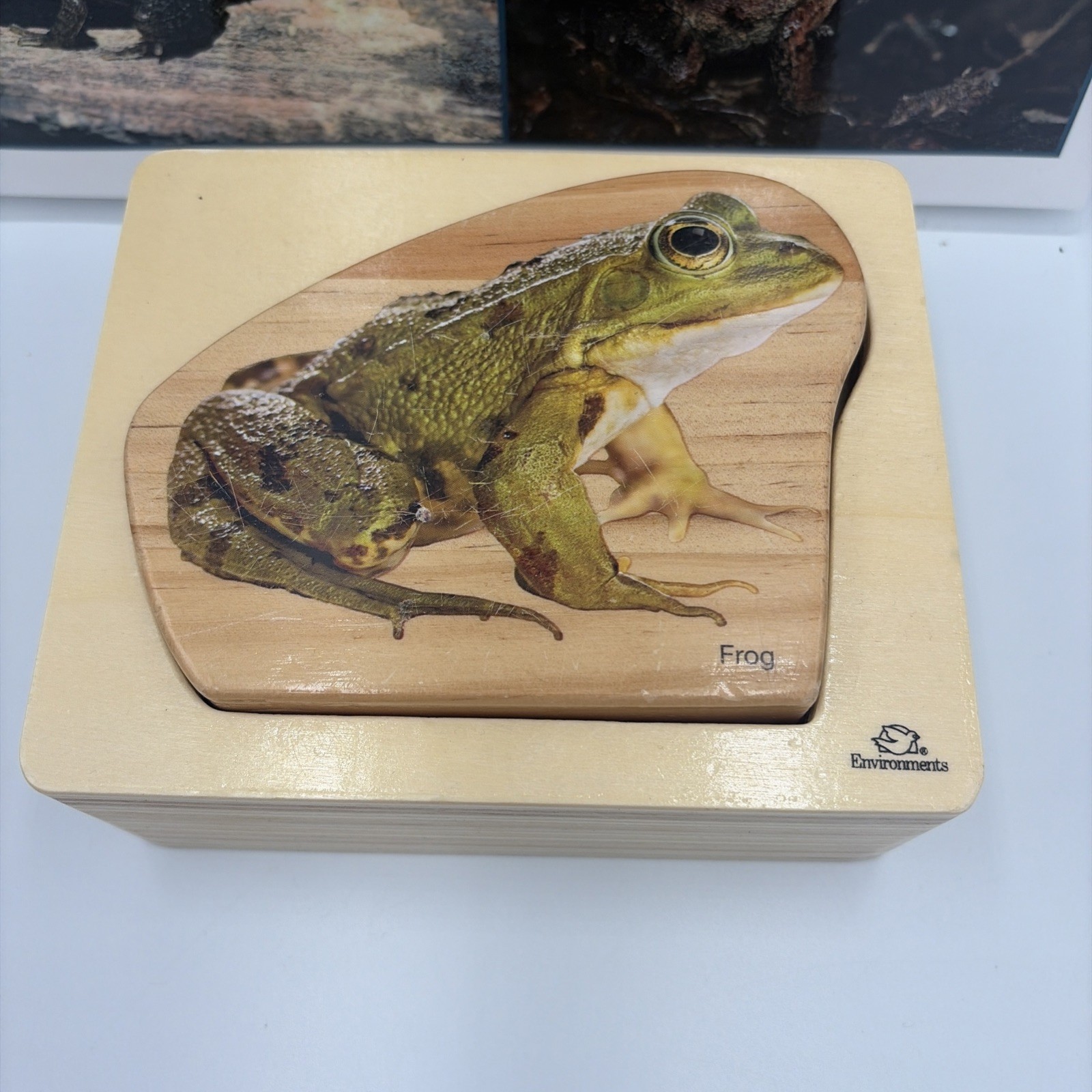 Montessori Science Toys Life Frog Wooden Nesting Realistic Puzzle