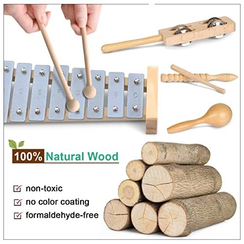 Toddler Musical Instruments, Eco Friendly Music Set for Kids Preschool…