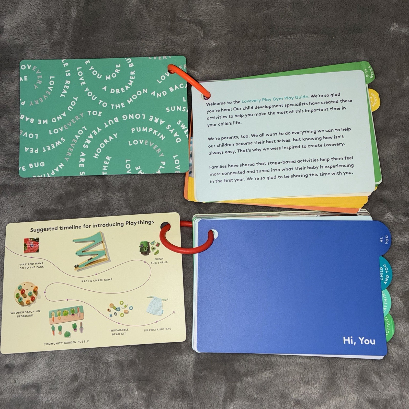 Lovevery Baby Lot of 8 Play Activity Guide Books Ages 13-36 Months GYM ADVENTURE