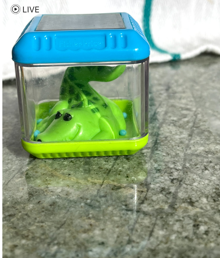 Fisher Price CUBE plastic Sensory ALLIGATOR inside with blue “water” 2 inch