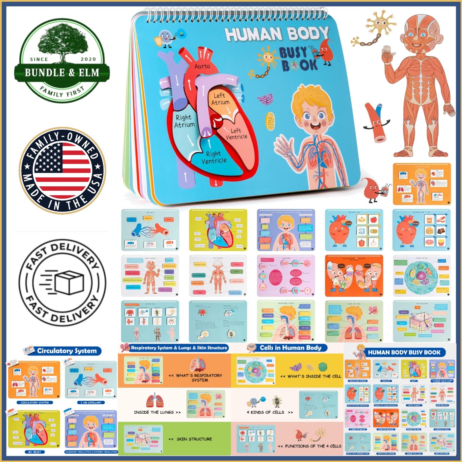 Human Body Anatomy Book for Preschoolers, Fun Learning Activities for Kids