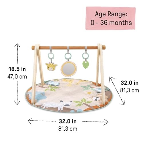 INGENUITY WONDERS INGENUITY WONDER & WOOD TOY ARCH & MAT – MULTI COLOR/BEIGE