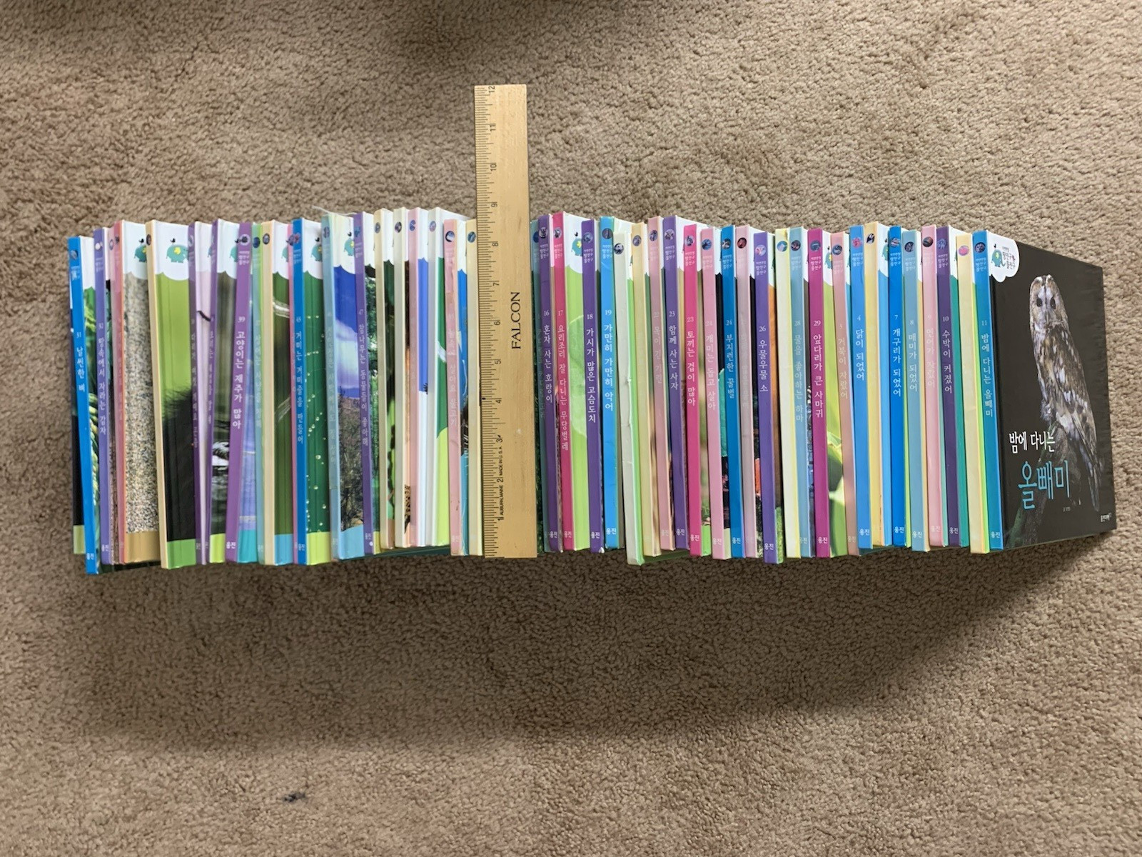 웅진다책 자연관찰 땅친구 물친구 Korean children books RANDOM 14 kid books 한국 책 한글 책 동화 어린이 14권